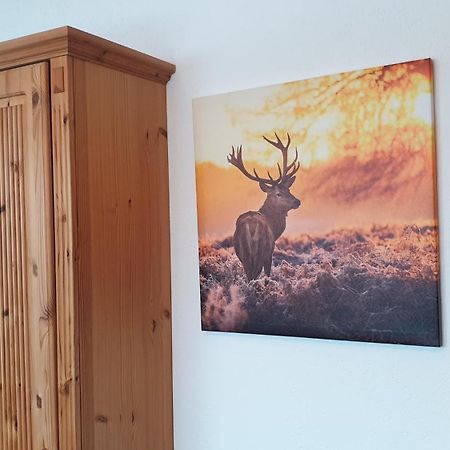 Haus Angelika Apartman Ehrwald Kültér fotó